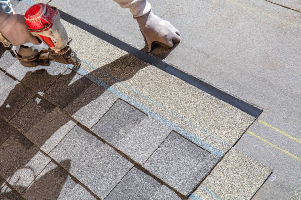 Professional Roofing Contractor in Channel Lake, IL