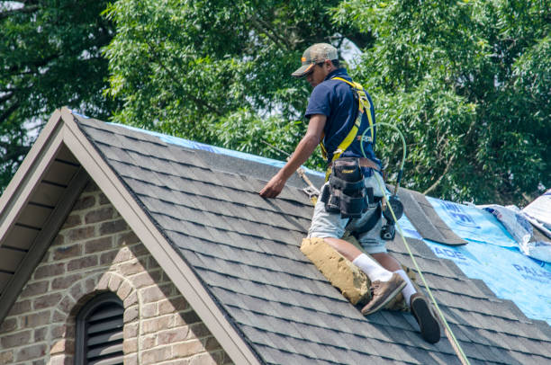 Best Roof Repair Services  in Channel Lake, IL